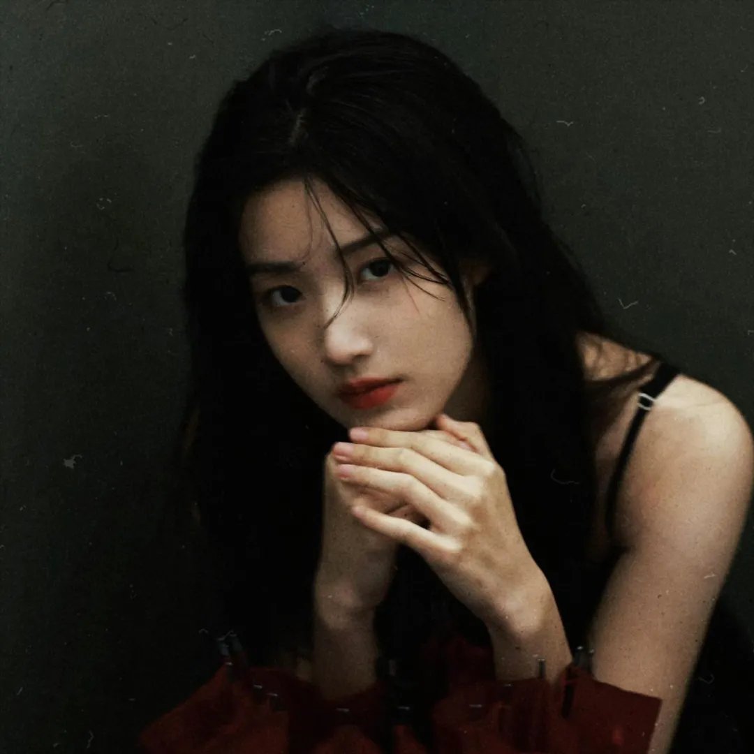 摄影师贝尔蒂与海豚零距离